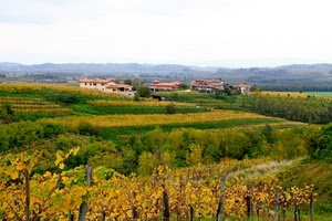 viti, panorama, autunno, case, colline, alberi, verde, campi, campagna, giallo, paesaggio, vigneti