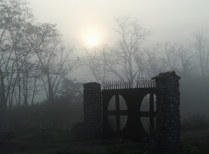 nebbia, cancello, alberi, sole, croci, controluce, pilastri