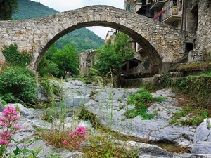 ponte, fiume, fiori, arco, rocce, torrente, sassi, erba, paese, verde, piante, case