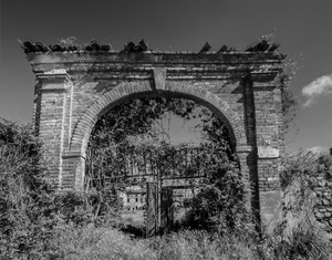 cancello, arco, bianconero, piante, mattoni, rudere, ruderi, cielo