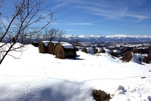 neve, montagne, inverno, fieno, rami, balle, alberi, montagna, panorama, albero, bianco