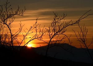 tramonto, rami, rosso, sole, controluce, montagne, alba, cielo, alberi, arancio