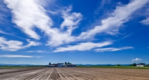 nuvole, cielo, panorama, campo, azzurro, campagna, bianco, case, campi, verde, blu, prospettiva, terra, alberi
