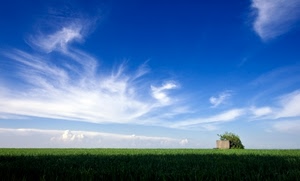 nuvole, cielo, verde, campo, azzurro, prato, blu, bianco