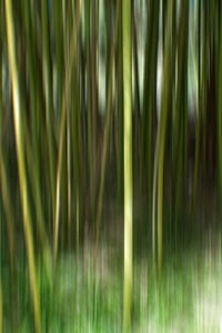 verde, astratto, erba, sfocato, fili, foglie, canne, macro, linee