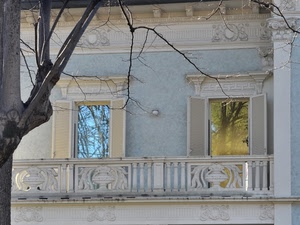 finestre, albero, rami, balcone, riflesso, balaustra, vetro, persiane, due, liberty, riflessi, palazzo, muro, bianco, tronco