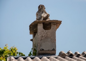 tetto, cielo, comignolo, foglie, tegole, azzurro, onduline, verde, rami, pianta