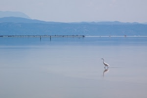 acqua, uccello, montagne, mare, lago, cielo, monti, riflesso, panorama