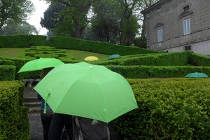 ombrelli, verde, giardino, siepi, aiuole, pioggia, due, verdi, giallo, alberi