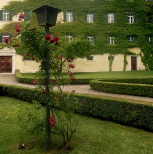 lampione, verde, siepe, casa, prato, edera, rose, giardino, rosa, finestre, siepi, fiori