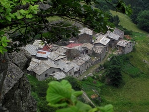 case, tetti, alberi, verde, borgo, paese, foglie, rami, panorama