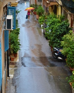 strada, pioggia, ombrello, piante, finestre, persiane, passante, vicolo
