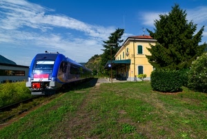 treno, stazione, alberi, blu, binari, cielo, erba, verde, rotaie, pensilina, finestre, vagoni, prato, ferrovia