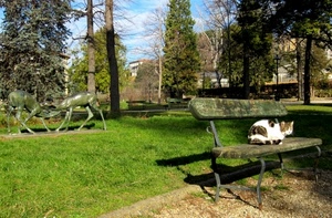 gatto, alberi, panchina, prato, parco, verde, ombra, erba, statue, scultura, animale, legno, cielo, bianco, animali