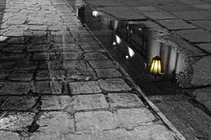 lampione, riflesso, pozzanghera, acqua, strada, bianconero, luce