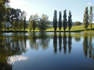 alberi, lago, acqua, riflesso, verde, riflessi, fiume, cielo