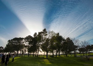alberi, cielo, nuvole, prato, persone, controluce, erba, luce, verde