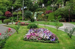 fiori, alberi, aiuole, giardino, piante, aiuola, verde, prato