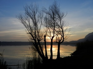 alberi, acqua, controluce, cielo, lago, tramonto, sole, nuvole, rami, riflessi, silhouette, nero, azzurro, riflesso, spogli, mare, paesaggio