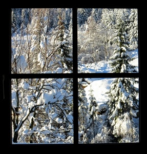 finestra, neve, alberi, inverno, rami, abeti, bosco, bianco