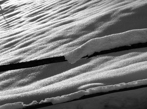 neve, inverno, bianco, bianconero, ombre, freddo, rami, ghiaccio, controluce, ombra