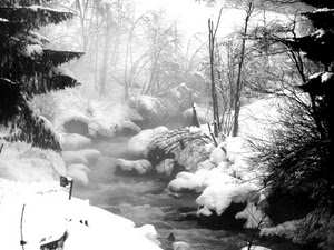 neve, alberi, nebbia, inverno, torrente, ruscello, bianco, acqua