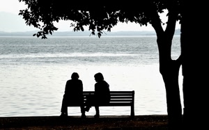 panchina, albero, controluce, mare, due, coppia, acqua, lago