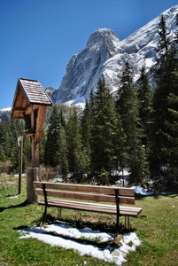 panchina, montagna, neve, alberi, crocifisso, croce, edicola, prato, verde, abeti