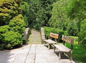 alberi, panchine, ponte, verde, parco, sentiero, giardino