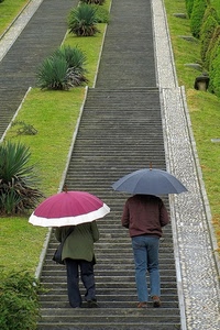 ombrelli, scalinata, scale, gradini, verde, due, salita, piante, persone, aiuole