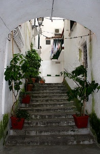 piante, gradini, vasi, scale, scala, panni, vicolo, arco, bianco, finestre