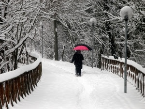 neve, alberi, ombrelli, staccionata, strada, lampioni, inverno, bianco, rami, ombrello, due, persone, rosso, passanti, ponte, lampione, persona