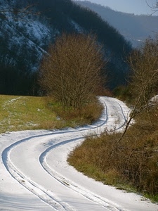 neve, strada, alberi, montagna, bianco, curve, verde, cespugli, tracce, pista, montagne, erba, prato, linee, scie, impronte