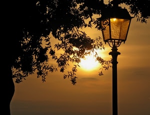 sole, lampione, tramonto, albero, foglie, controluce, cielo, rami, arancione, vetro, silhouette, luce