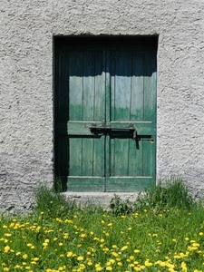 porta, fiori, verde, erba, legno, giallo, muro, prato